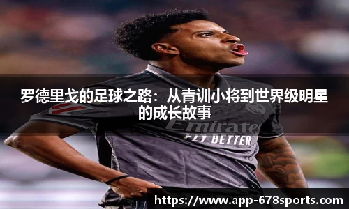 678体育app
